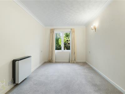 Picture 8